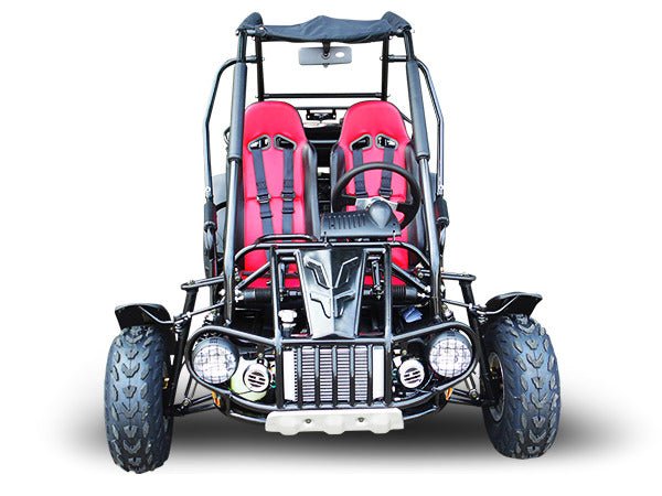 TrailMaster 300E XRS EFI model in pictured color