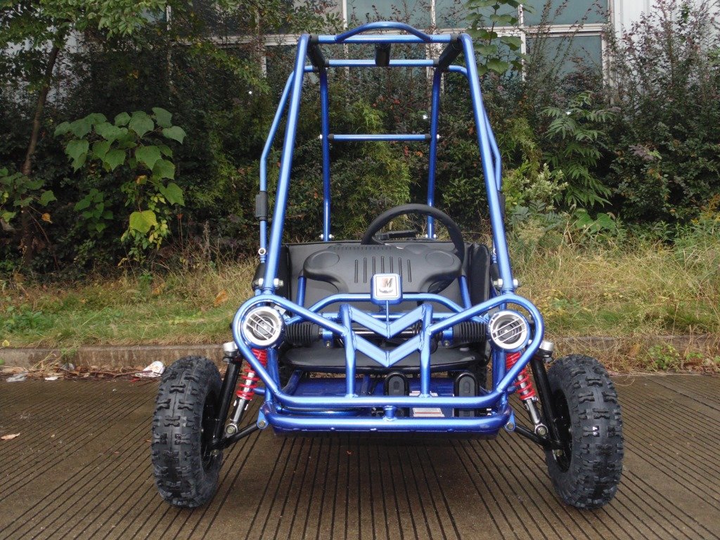 TrailMaster go-kart