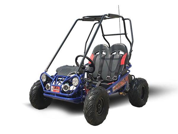 TrailMaster MINI XRX/R+ model in pictured color